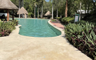 #106 Puerto Morelos - Regatta 3 BD 4 BA Condo - community pool surrounded by mature trees and gardens