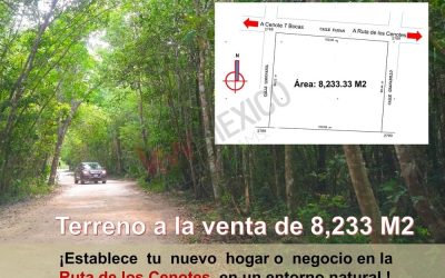 #112 Puerto Morelos, Ruta de los Cenotes - Land 8233 m2 in the Mayan jungle
