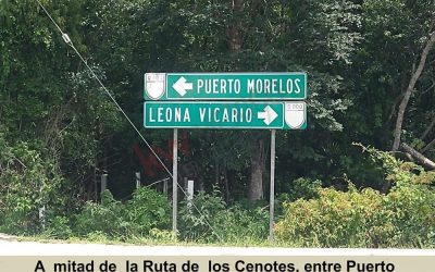 #112 Puerto Morelos, Ruta de los Cenotes - Land between Puerto Morelos and Leona Vicario