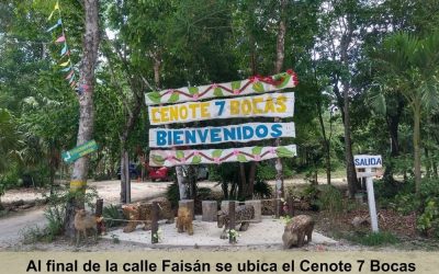 #112 Puerto Morelos, Ruta de los Cenotes - Land near Cenote 7 Bocas