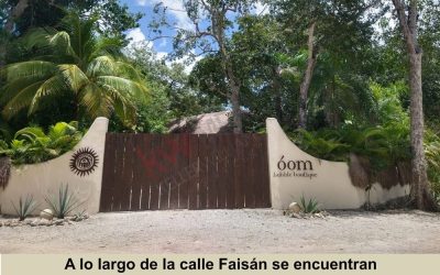 #112 Puerto Morelos, Ruta de los Cenotes - Land near Oom Bubble Botique