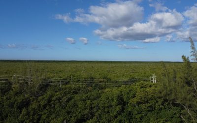 #20 Mistral Costa Mujeres - Luxury Waterfront Condo mangrove view