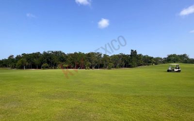 #22 Cancun Country Club - golf course and golf cart