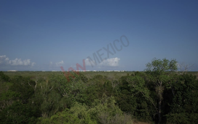 #4 Aldea Ha - 3 BD 4.5 BA Home overlooking the Puerto Morelos mangrove