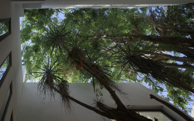 #4 Aldea Ha - 3 BD 4.5 BA Home with mature trees in the interior courtyard