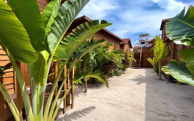 Botique Hotel Holbox beautiful tropical folliage between guest cottages