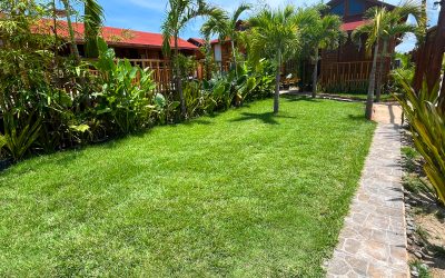 Botique Hotel Holbox green space with grass palm trees and tropical landscaping