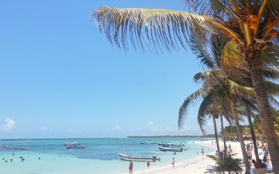 akumal-snorkel-snorkeling-tour-private-experience-turtle-sea turtles-lunch-margaritas-beer-transportation included-boat-mexican caribbean-mexico-travel-my trish advisor20160529_125011_HDR (1)