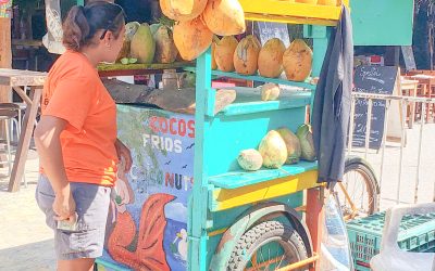coconut stand-my trish advisor-isla mujeres-tour-mexico-caribbean-travel-cancun-playa del carmen
